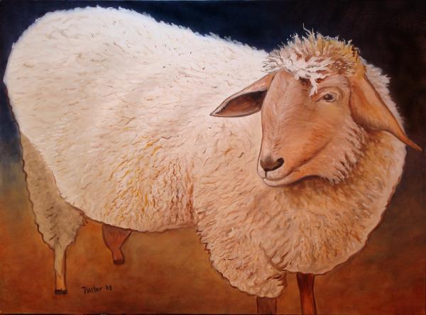 shaggy sheep art print by nc